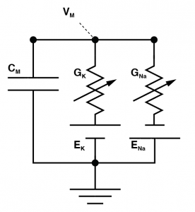 Typical electrical model of the cell.