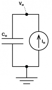 Simpler model of a cell